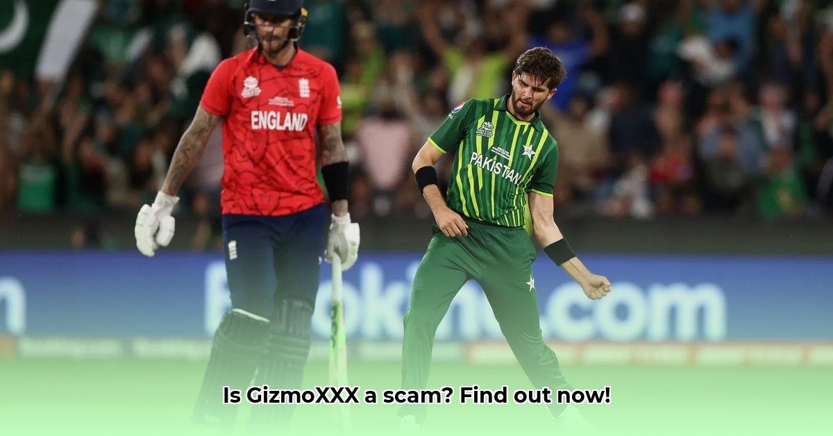 gizmoxxx